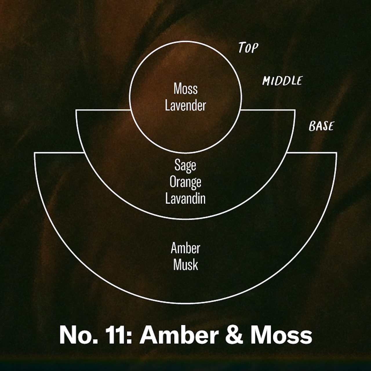 P.F. Candle Co. - Amber & Moss Reed Diffuser 琥珀與苔蘚藤支擴散器