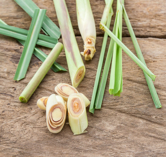 檸檬香茅 Lemongrass